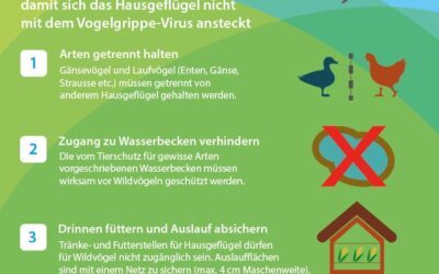 Massnahmen und Empfehlungen zur Vogelgrippe