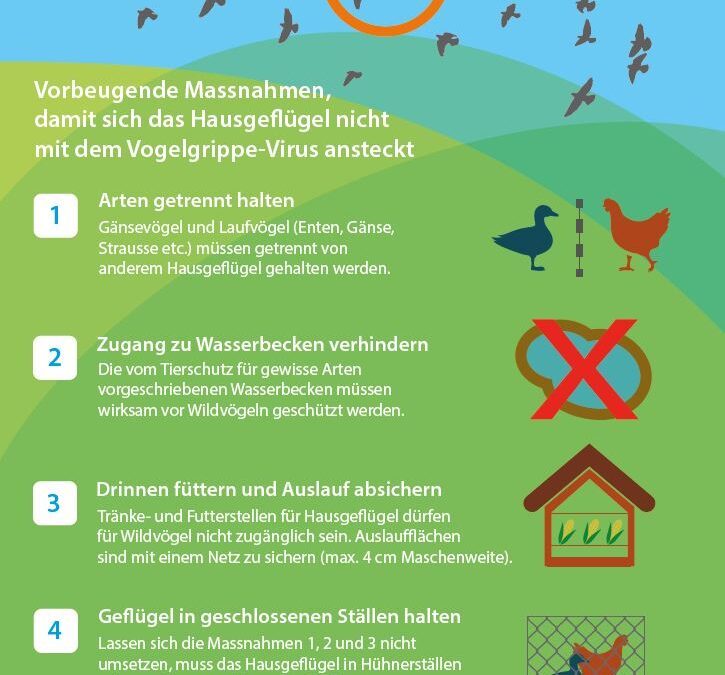 Massnahmen und Empfehlungen zur Vogelgrippe