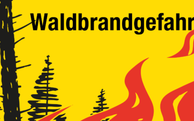 Waldbrandgefahr auf Gefahrenstufe „gering“ abgestuft